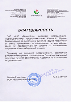отзывы клиентов, уборка и вывоз снега с помощью техники, Регион Групп, Ульяновск